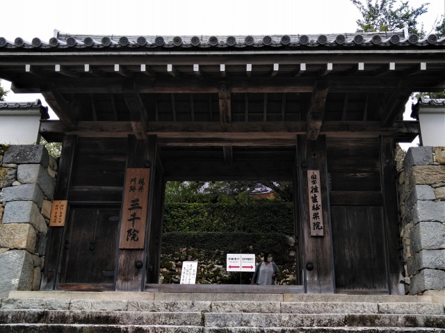 京都旅行１　三千院・宝泉院